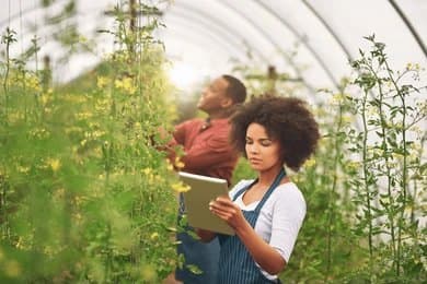 Agricultural Consultancy Background